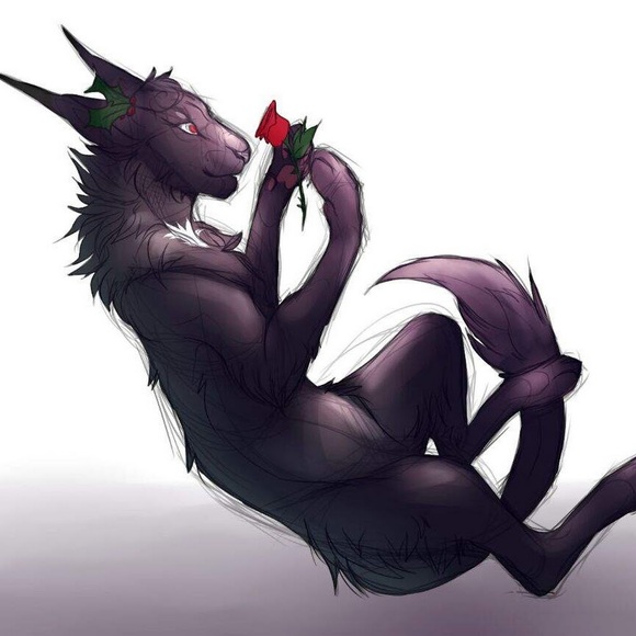 Meet your Posher, Xholly - Picture 1 of 1